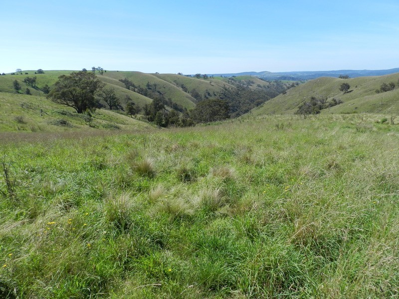 Lot 1 Hanworth  Road, Bannaby NSW 2580