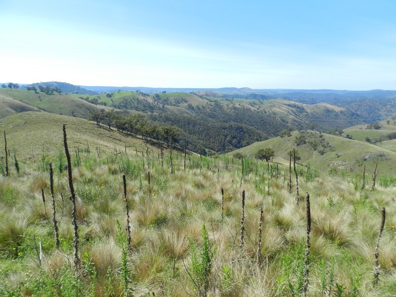 Lot 2 Hanworth Road, Bannaby NSW 2580