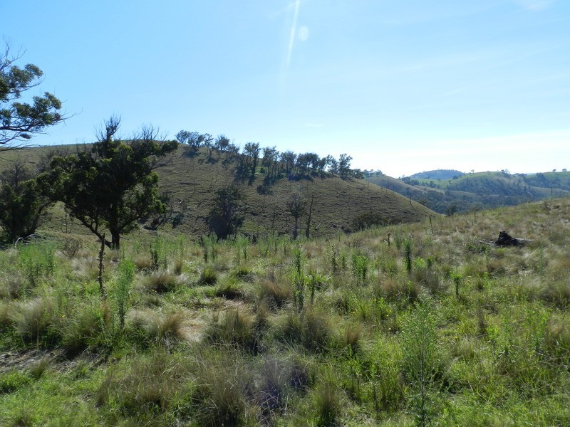 Lot 2 Hanworth Road, Bannaby NSW 2580