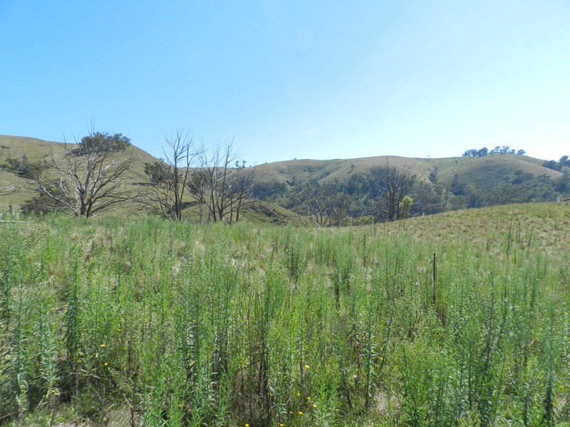 Lot 2 Hanworth Road, Bannaby NSW 2580