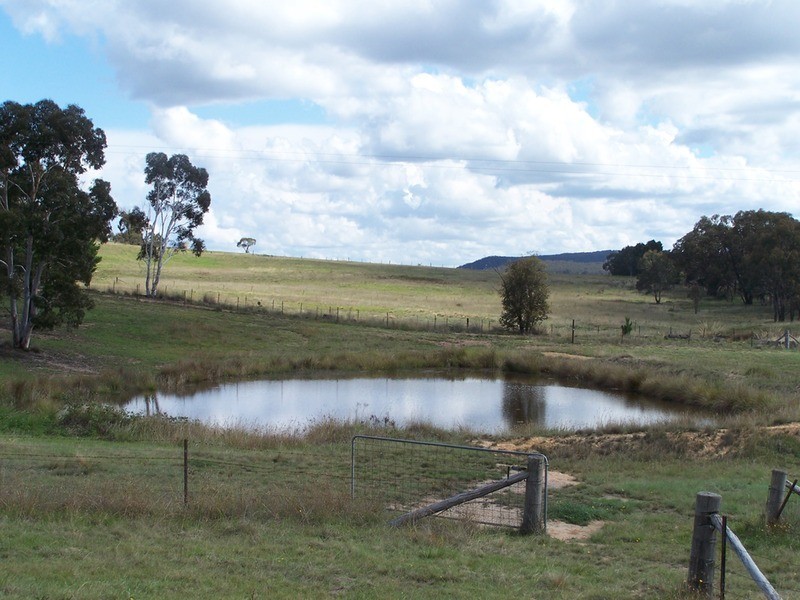 1516 Taralga  Road, Tarlo NSW 2580