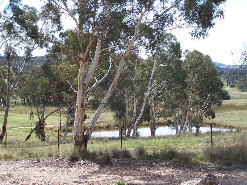 1516 Taralga  Road, Tarlo NSW 2580