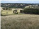 Karinya Downs 214 Karinya Road, Binda NSW 2583