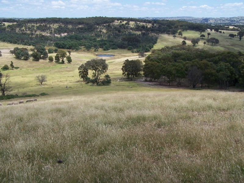 Karinya Downs 214 Karinya Road, Binda NSW 2583
