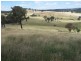 Karinya Downs 214 Karinya Road, Binda NSW 2583