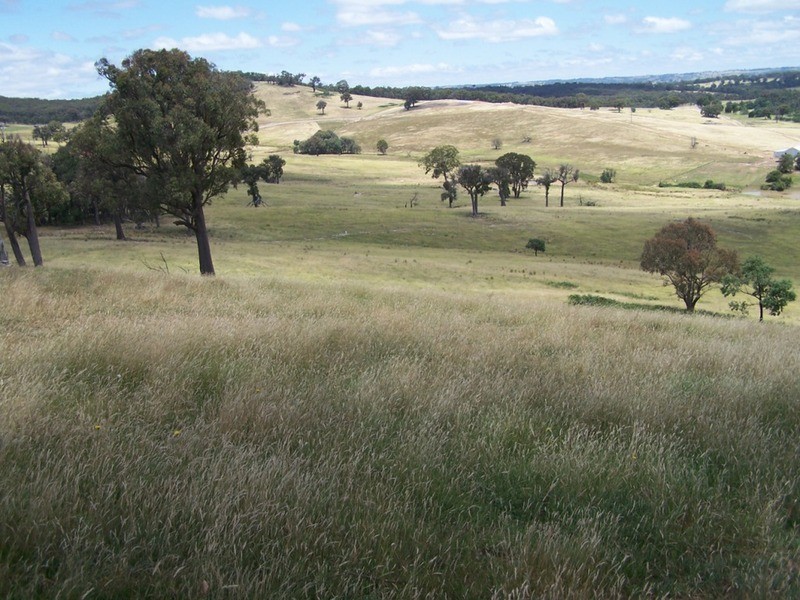 Karinya Downs 214 Karinya Road, Binda NSW 2583