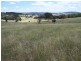 Karinya Downs 214 Karinya Road, Binda NSW 2583