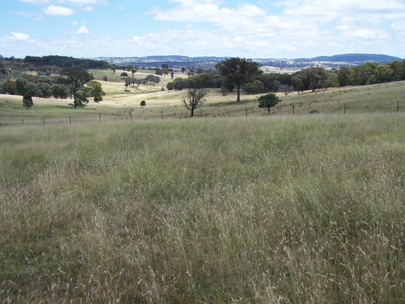 Karinya Downs 214 Karinya Road, Binda NSW 2583