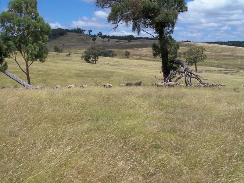 Karinya Downs 214 Karinya Road, Binda NSW 2583