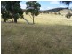 Karinya Downs 214 Karinya Road, Binda NSW 2583