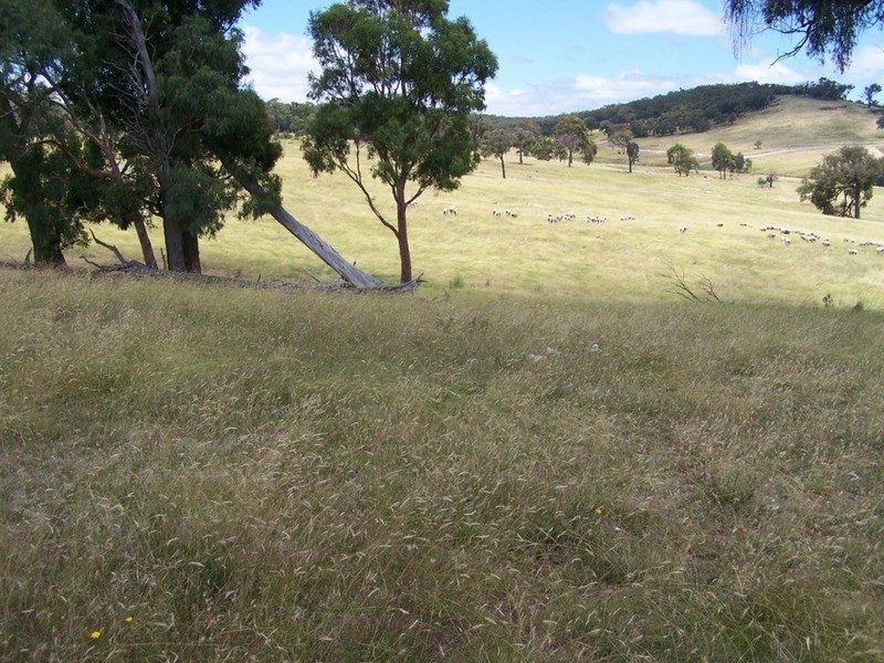 Karinya Downs 214 Karinya Road, Binda NSW 2583