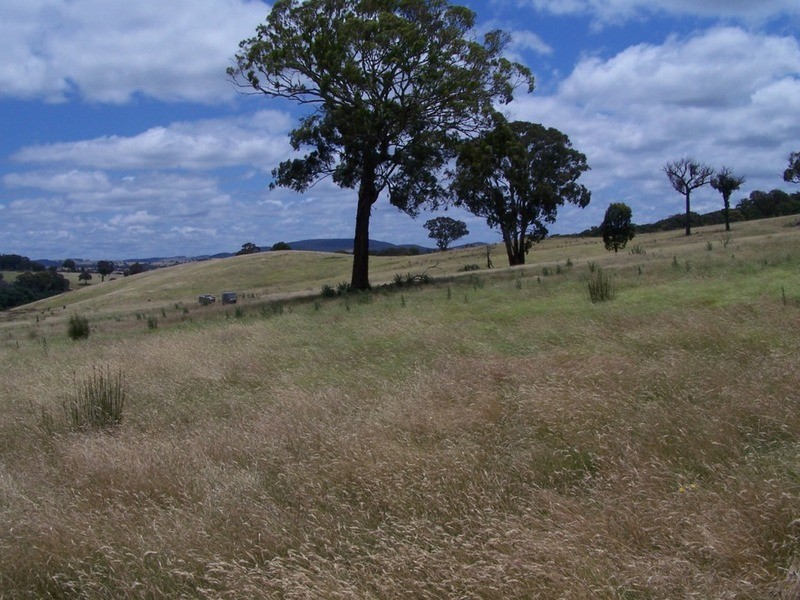 Karinya Downs 214 Karinya Road, Binda NSW 2583