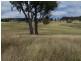 Karinya Downs 214 Karinya Road, Binda NSW 2583