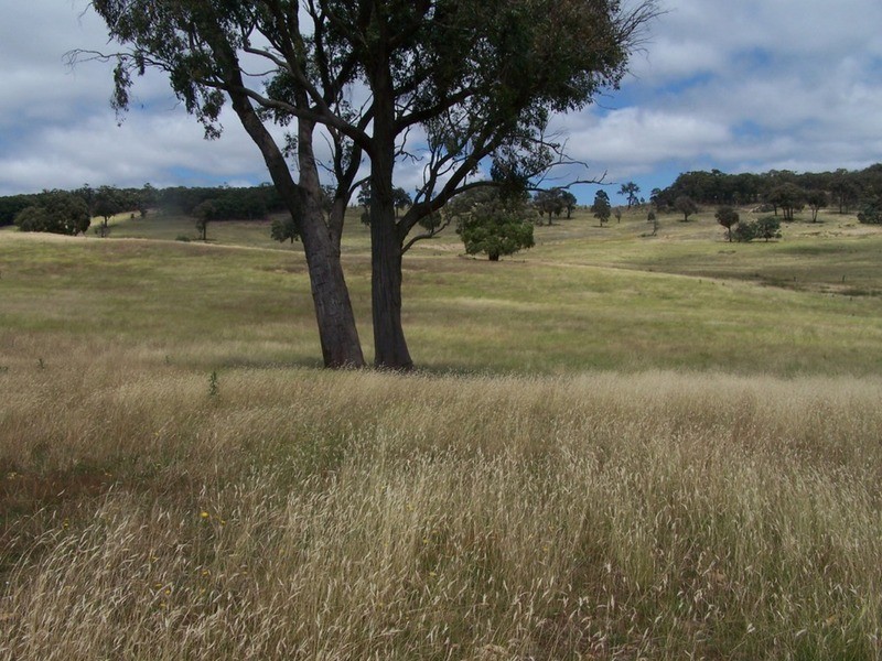 Karinya Downs 214 Karinya Road, Binda NSW 2583