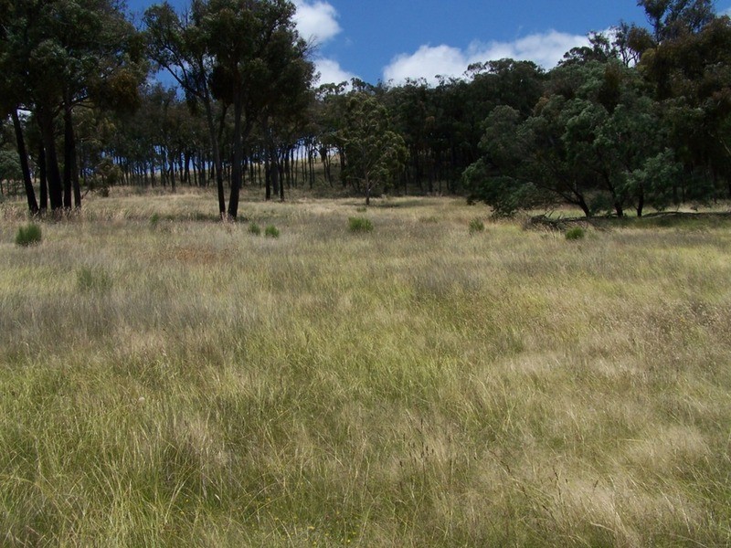 Karinya Downs 214 Karinya Road, Binda NSW 2583