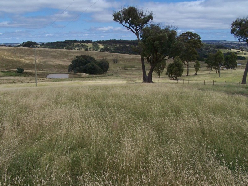 Karinya Downs 214 Karinya Road, Binda NSW 2583