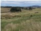 Karinya Downs 214 Karinya Road, Binda NSW 2583