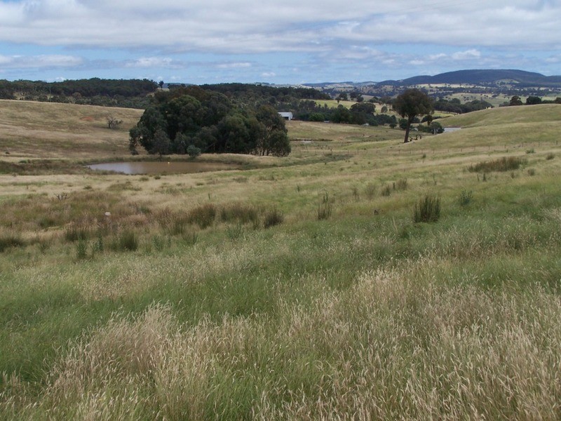Karinya Downs 214 Karinya Road, Binda NSW 2583