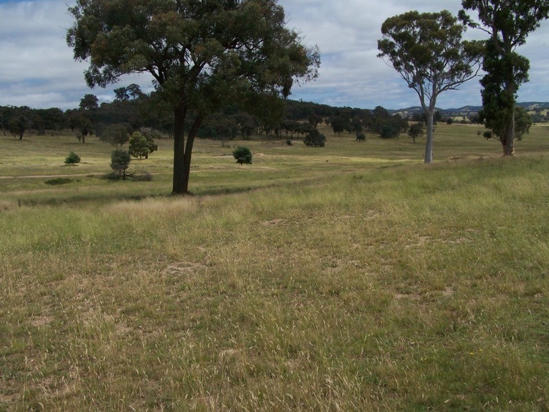 Karinya Downs 214 Karinya Road, Binda NSW 2583