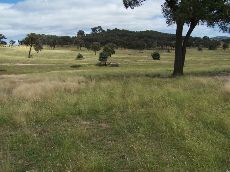 Karinya Downs 214 Karinya Road, Binda NSW 2583