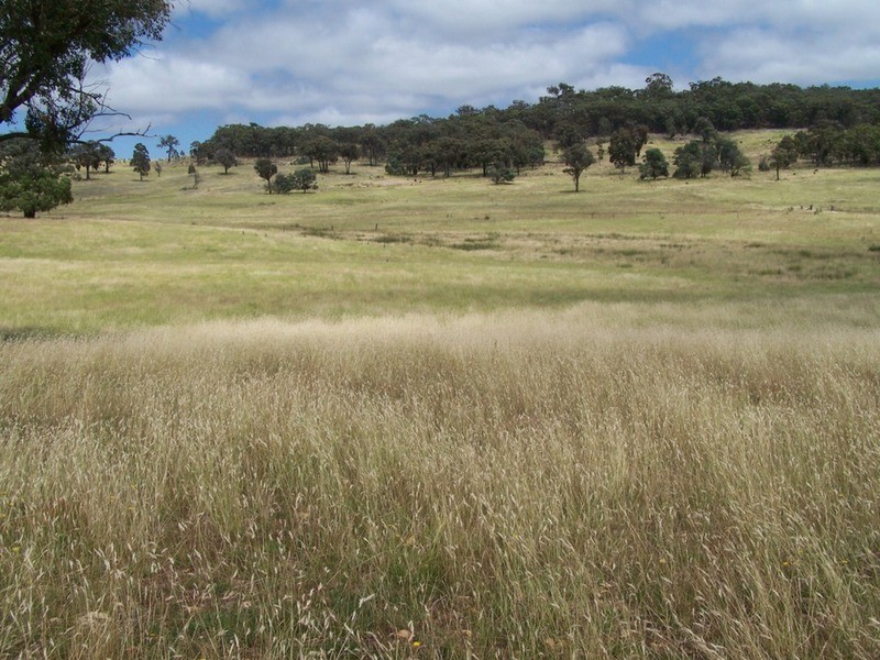Karinya Downs 214 Karinya Road, Binda NSW 2583