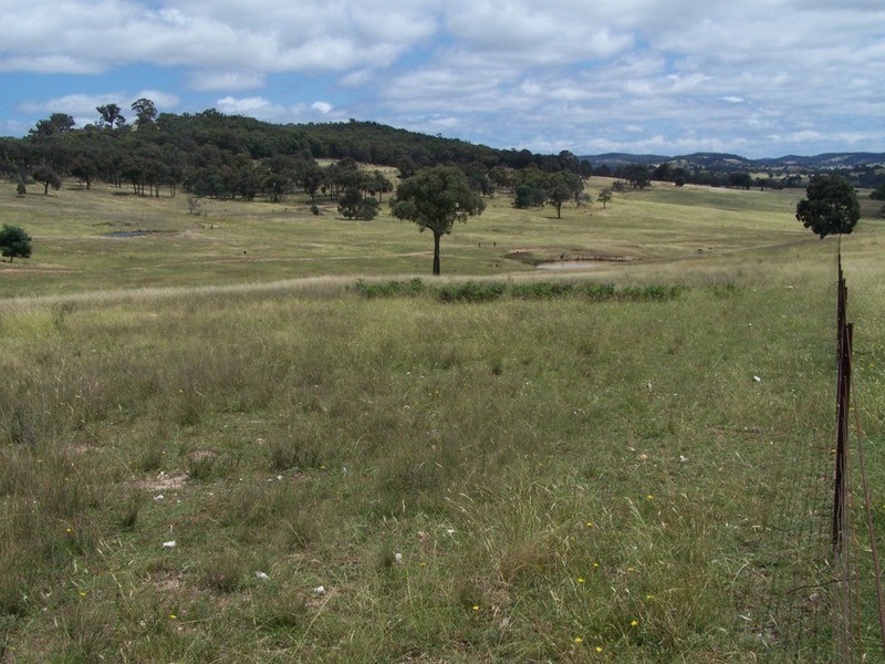 Karinya Downs 214 Karinya Road, Binda NSW 2583