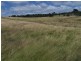 Karinya Downs 214 Karinya Road, Binda NSW 2583