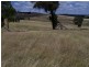 Karinya Downs 214 Karinya Road, Binda NSW 2583