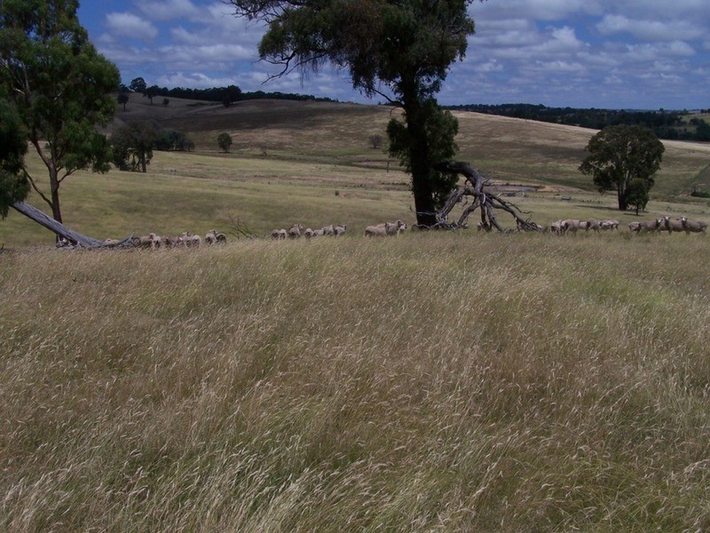 Karinya Downs 214 Karinya Road, Binda NSW 2583