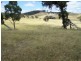 Karinya Downs 214 Karinya Road, Binda NSW 2583