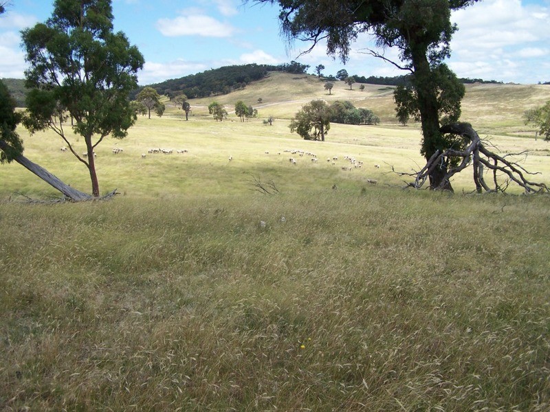 Karinya Downs 214 Karinya Road, Binda NSW 2583