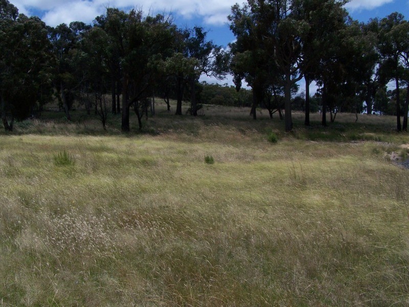 Karinya Downs 214 Karinya Road, Binda NSW 2583