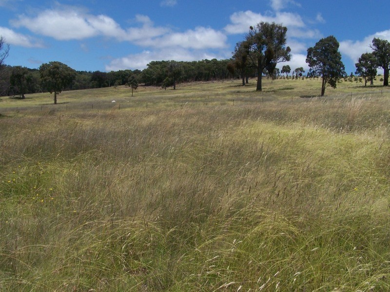 Karinya Downs 214 Karinya Road, Binda NSW 2583