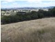 Karinya Downs 214 Karinya Road, Binda NSW 2583