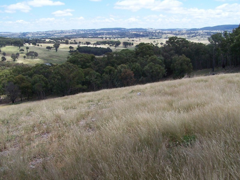 Karinya Downs 214 Karinya Road, Binda NSW 2583