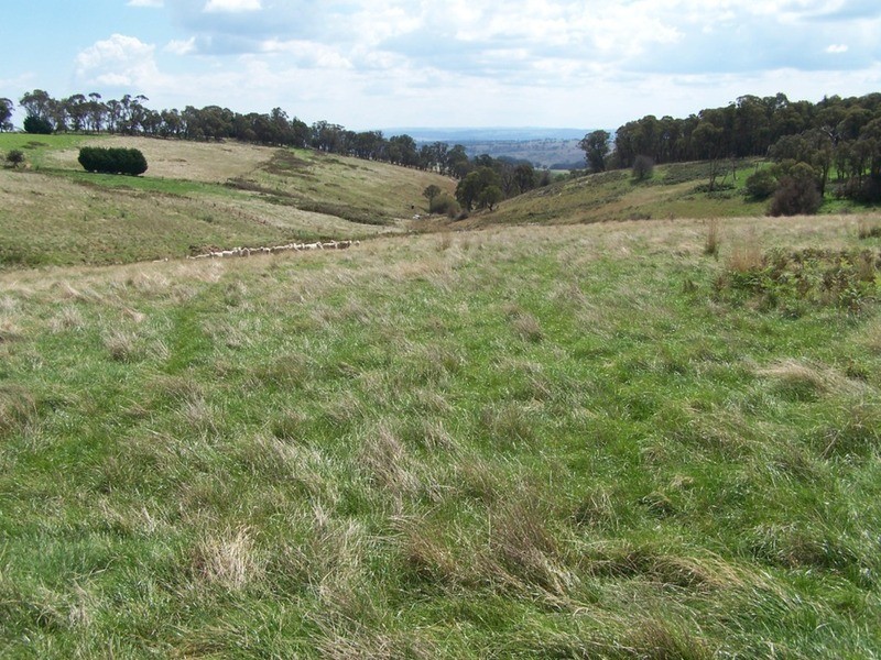 518 Binda  Road, Crookwell NSW 2583