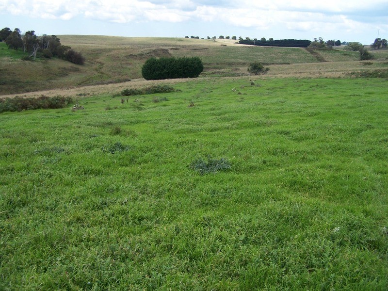 518 Binda  Road, Crookwell NSW 2583