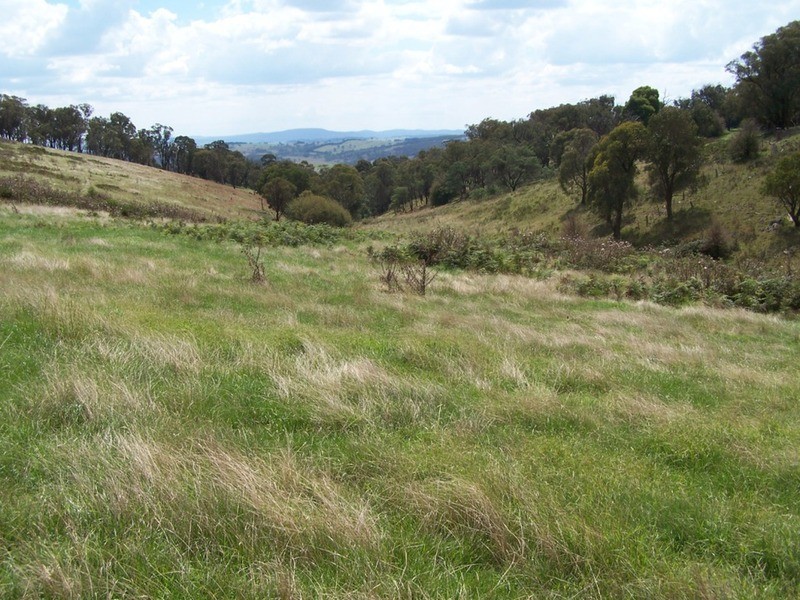 518 Binda  Road, Crookwell NSW 2583