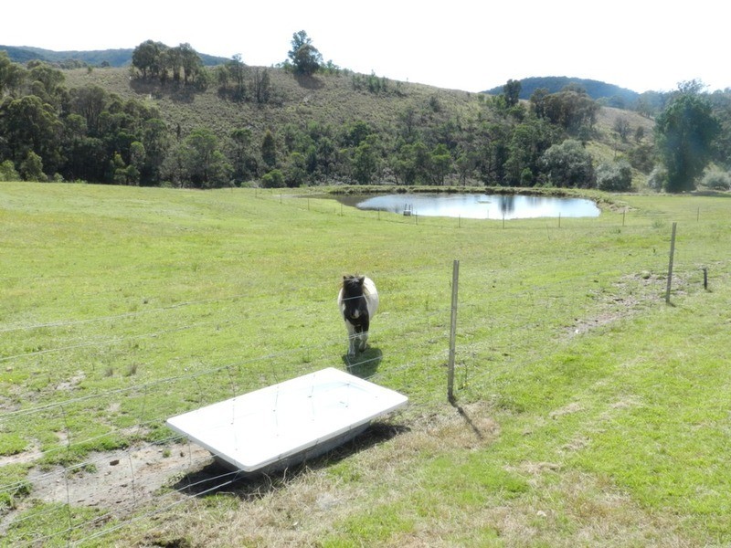 868 Covan Creek Road, Lake Bathurst NSW 2580