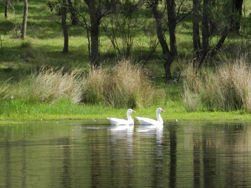 543 Marble Hill Road, Goulburn NSW 2580