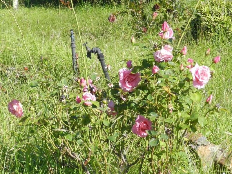 543 Marble Hill Road, Goulburn NSW 2580