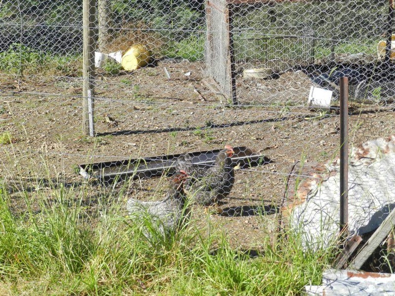 543 Marble Hill Road, Goulburn NSW 2580