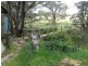 377 (Lot 30) Burden  Drive, Nerriga NSW 2622