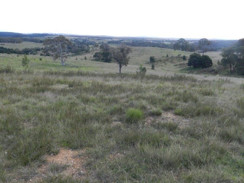 377 (Lot 30) Burden  Drive, Nerriga NSW 2622