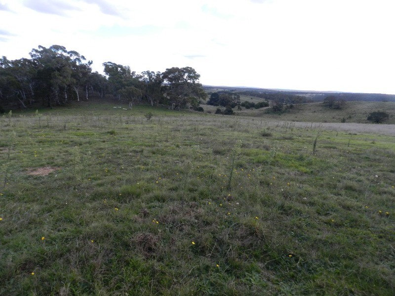 377 (Lot 30) Burden  Drive, Nerriga NSW 2622