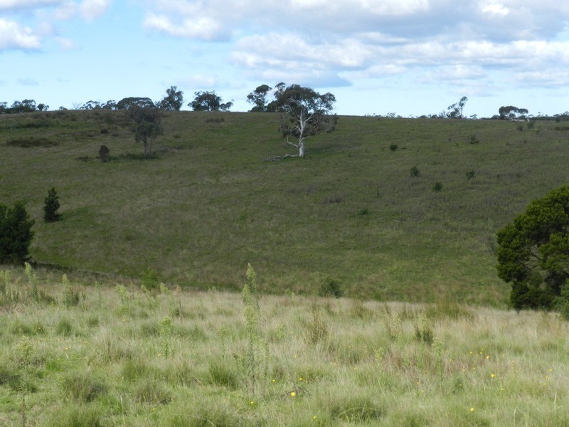 377 (Lot 30) Burden  Drive, Nerriga NSW 2622