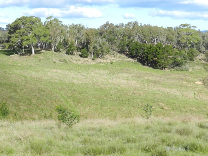377 (Lot 30) Burden  Drive, Nerriga NSW 2622