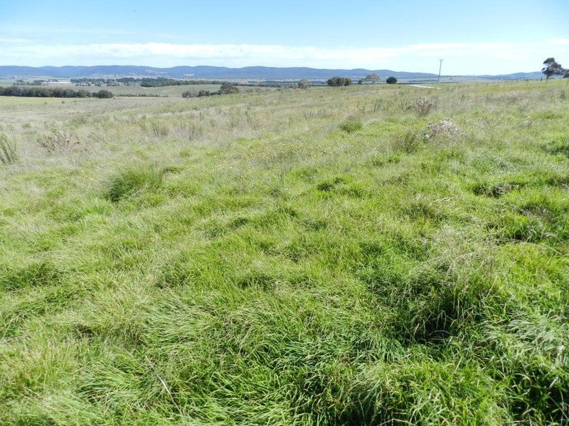 3830 Braidwood  Road, Goulburn NSW 2580
