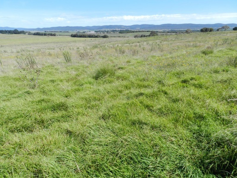 3830 Braidwood  Road, Goulburn NSW 2580