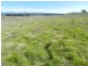 3830 Braidwood  Road, Goulburn NSW 2580